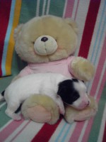 /album/fotogaleria/alfred3-jpg/