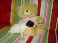 /album/fotogaleria/alfred6-jpg/