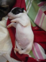 /album/fotogaleria/pict1520-jpg/