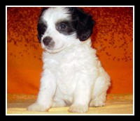 /album/fotogaleria/pict1914-jpg/