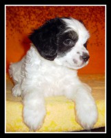 /album/fotogaleria/pict1925-jpg/